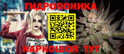 хмурый Свободный