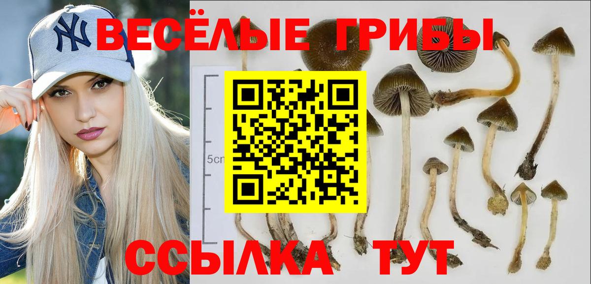 Галлюциногенные грибы мухоморы  Псилоцибиновые грибы Magic Shrooms  Вход с VPN  Сатка 